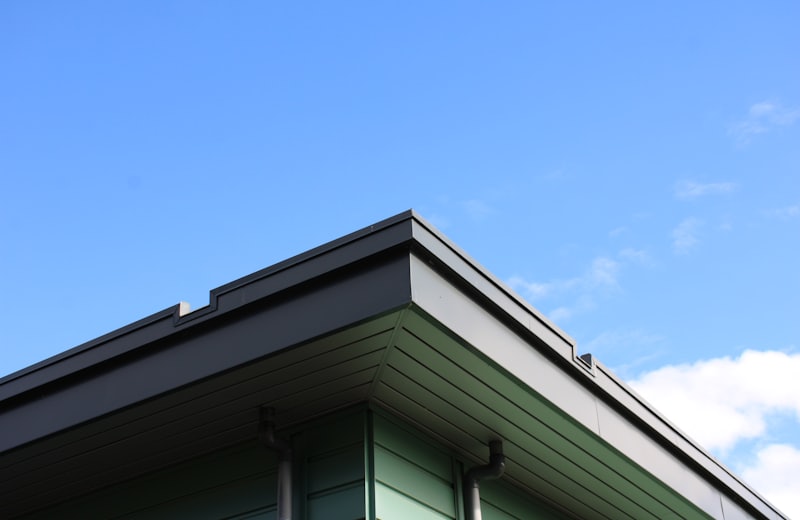 Dark fascia and gutter line on a home with green siding